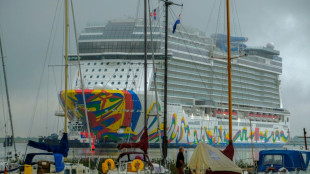Haushaltsausschuss des Bundestags ber&auml;t &uuml;ber staatliche Hilfe f&uuml;r Meyer Werft