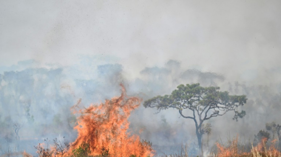 'Estamos tentando evitar o fim do mundo': Fl&aacute;vio Dino defende gastos com inc&ecirc;ndios