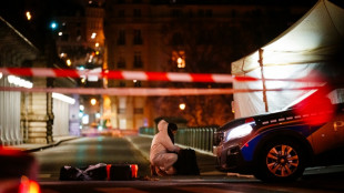Attentat pr&egrave;s de la tour Eiffel: la garde &agrave; vue de l'assaillant se poursuit