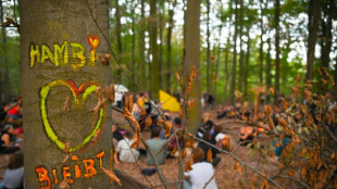 R&auml;umung von Baumh&auml;usern im Hambacher Forst kommt wieder vor Gericht