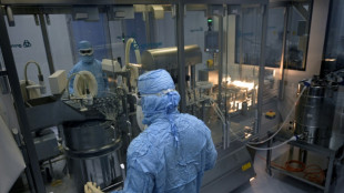 La OMS quiere desarrollar vacunas de ARN mensajero para la gripe aviar con una farmac&eacute;utica argentina