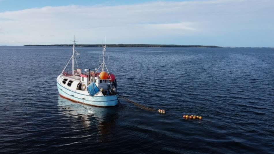 Ailing Baltic Sea in need of urgent attention