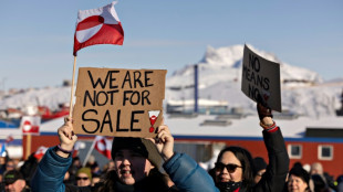 Denmark summons US diplomat over Greenland 'interference'