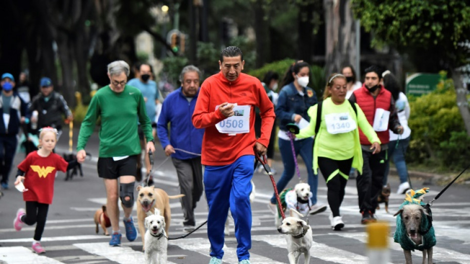 'Part of the family': Mexico City's dog race celebrates canine community