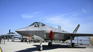 Un tribunal ordonne aux Pays-Bas d'arr&ecirc;ter l'exportation de pi&egrave;ces de F-35 &agrave; Isra&euml;l