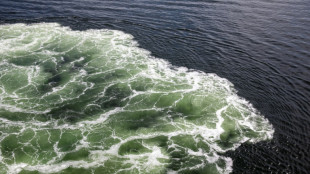 EU verh&auml;ngt Sanktionen gegen russische "Schattenflotte"