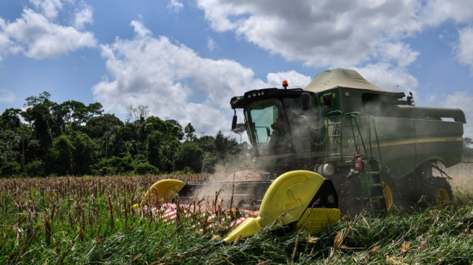 Brasil exportará más maíz por la guerra de Ucrania, pero teme por los fertilizantes
