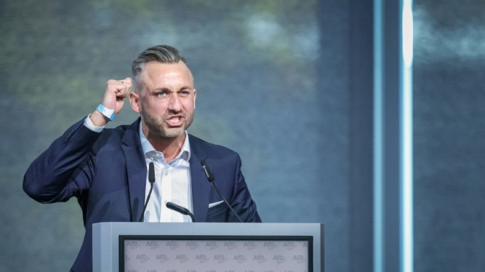 L&auml;nder-Innenminister warnen vor AfD-Regierung in Sachsen-Anhalt