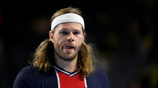 Hand: le grand huit fran&ccedil;ais des Parisiens, avant de s'attaquer au Final 4 europ&eacute;en