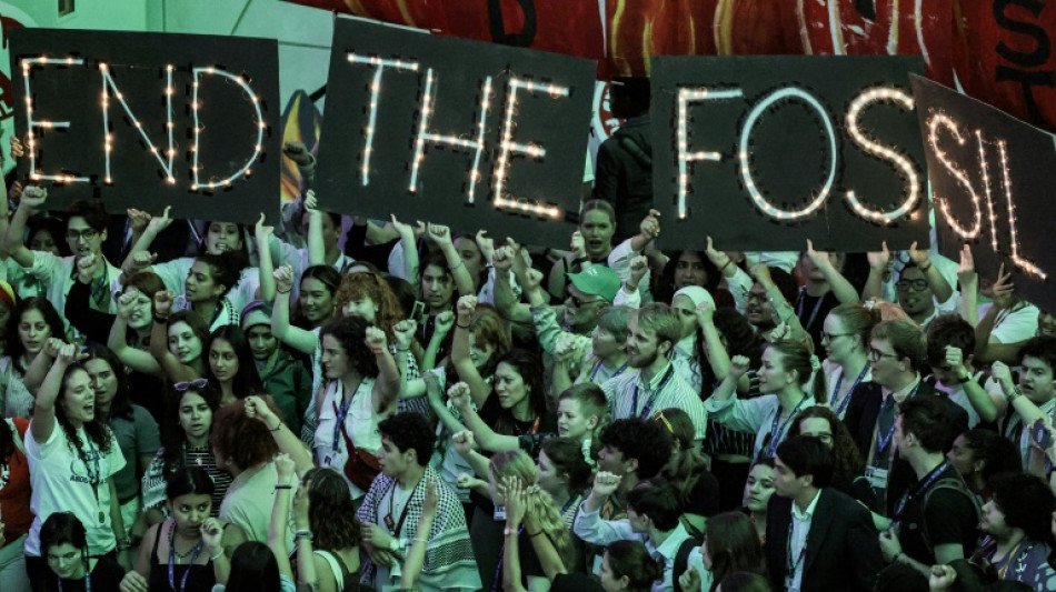 La factura de la transici&oacute;n energ&eacute;tica ser&aacute; m&aacute;s cara para los pa&iacute;ses emergentes, afirma la OCDE