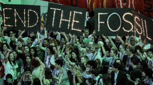 La factura de la transici&oacute;n energ&eacute;tica ser&aacute; m&aacute;s cara para los pa&iacute;ses emergentes, afirma la OCDE