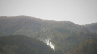 El ej&eacute;rcito espa&ntilde;ol se suma al combate contra el incendio en la isla de Tenerife