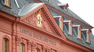 Hohe Kosten für Sicherheit zu Fastnacht beschäftigen Landtag von Rheinland-Pfalz