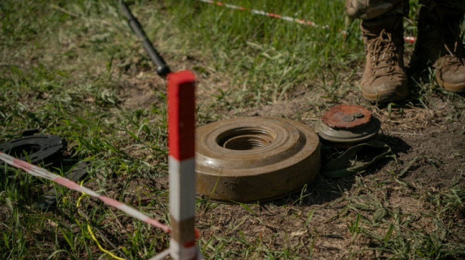 D&eacute;miner l'Ukraine, du r&acirc;teau au drone  