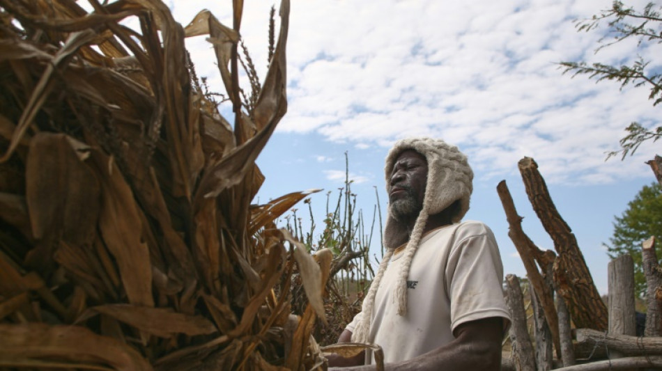Seca deixa milh&otilde;es de pessoas sem alimentos no Zimb&aacute;bue