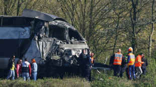 Pas-de-Calais: un conducteur de TGV tu&eacute; dans un accident, un chauffeur routier en garde &agrave; vue
