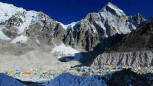 Indian climber dies after Everest bid, eighth death this season