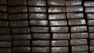 Acht Festnahmen bei internationalem Durchsuchungseinsatz gegen Drogenhandel