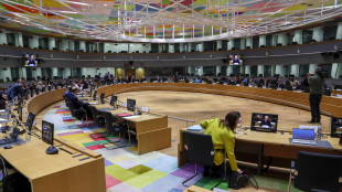 Mercoled&igrave; gli ambasciatori dei 27 in Ue votano sul prestito a Kiev