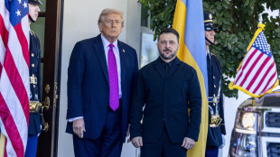 Trump, 'Zelensky dovr&agrave; farsi piacere il piano di pace'