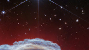 Telescópio Webb capta imagens impactantes da nebulosa 'Cabeça de cavalo'