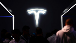 Gr&uuml;nheide: Tesla sorgt sich nach Anschlag auf Stromversorgung um Besch&auml;ftigte