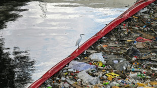 Les Philippines mobilisent des agents pour lutter contre la pollution plastique dans les rivières