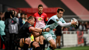 Challenge Cup: Toulon, un troph&eacute;e &agrave; aller chercher