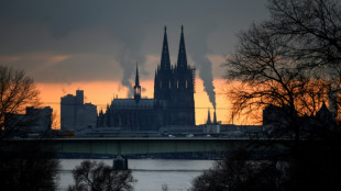 Kölner Katholiken fordern Befragung von Gläubigen zu Rückkehr Woelkis