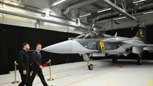 Ukraine k&ouml;nnte bis zu 150 Gripen-Jagdbomber von Schweden kaufen