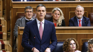 Sanchez, 'pressione su Israele affinch&eacute; fermi massacro Gaza'
