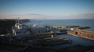 EDF et l'Etat fran&ccedil;ais se mettent d'accord sur le financement de la relance du nucl&eacute;aire