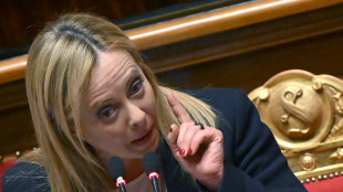 Meloni, grande preoccupazione per ripresa ostilit&agrave; a Gaza