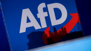 AfD verzichtet auf Forderung nach EU-Auflösung in Europawahlprogramm