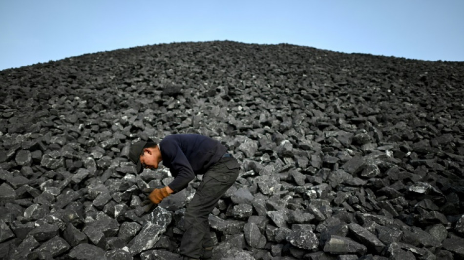China cuts coal import taxes to zero to ensure energy supply