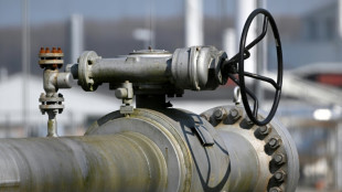 Studie: Entscheidend für Normalisierung des Gaspreises ist Rückgang der Nachfrage