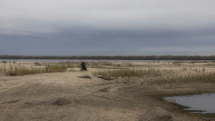 In flooded south, Ukraine builds landmark ecocide case against Russia
