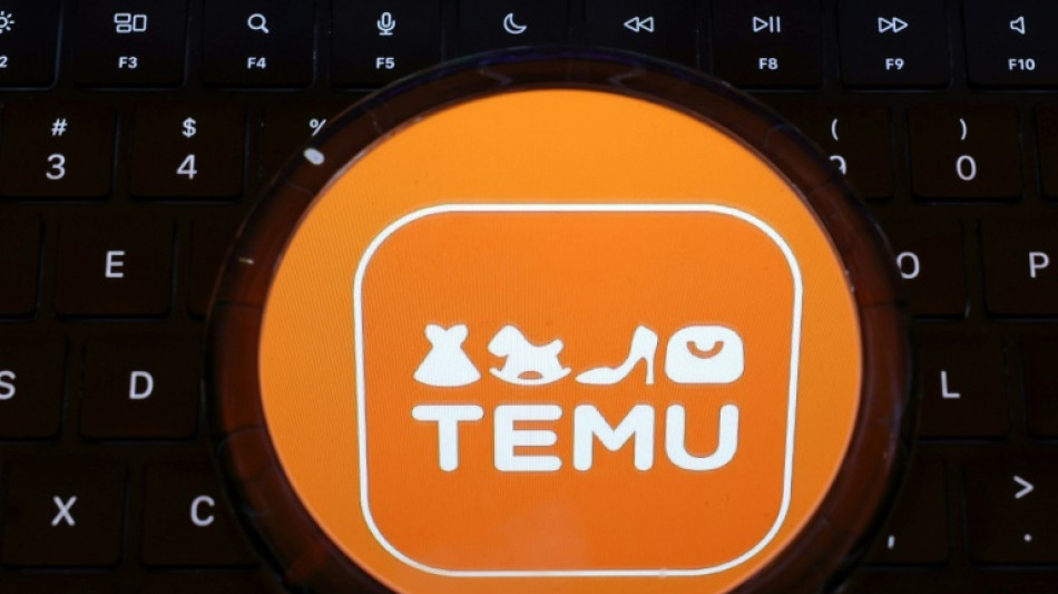 Experte rät zu Regulierung statt Verbot von Online-Händler Temu