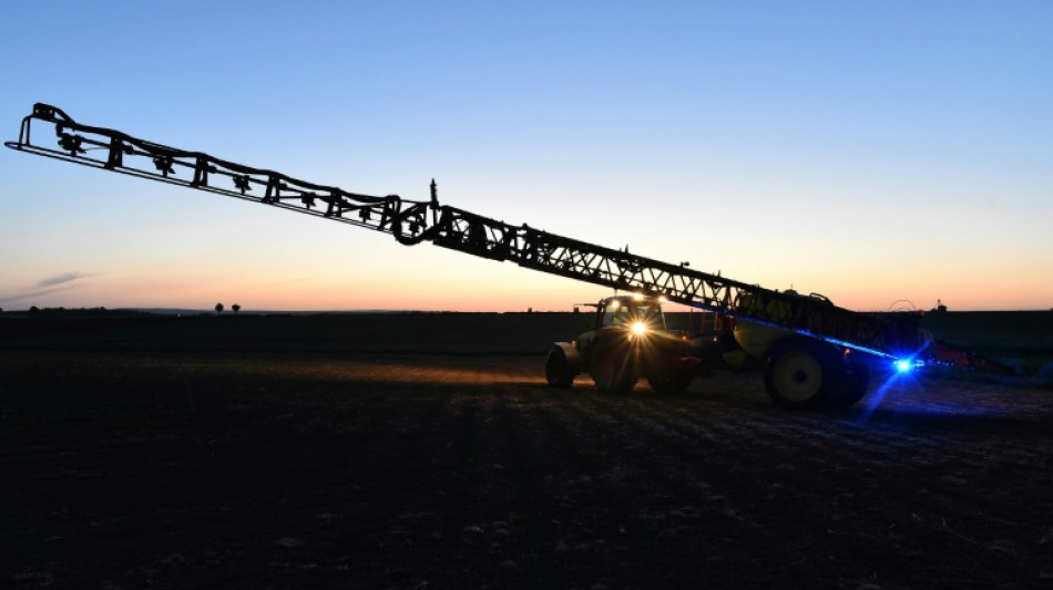 Le glyphosate ne peut &ecirc;tre consid&eacute;r&eacute; comme canc&eacute;rog&egrave;ne, selon l'Agence europ&eacute;enne des produits chimiques