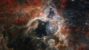 Telescopio Webb captura nuevos detalles de la nebulosa Tar&aacute;ntula