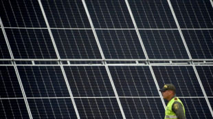 Principales puntos del informe del IPCC para luchar contra el cambio clim&aacute;tico