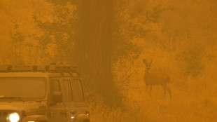 Mayor incendio forestal en California deja al menos cuatro muertos
