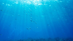 Nations urged to make UN summit a 'turning point' for oceans