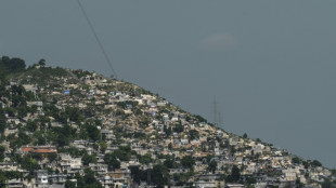 Primeiro contingente da pol&iacute;cia queniana chega ao Haiti para miss&atilde;o de seguran&ccedil;a