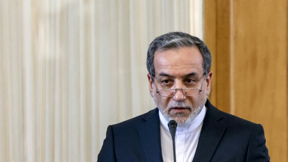 Nucl&eacute;aire: le n&eacute;gociateur iranien rencontre lundi le pr&eacute;sident de l'AIEA 

