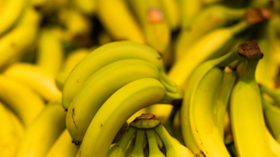Kokain in Bananenattrappen versteckt: Haftstrafen f&uuml;r zwei M&auml;nner in Hamburg