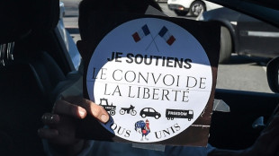 Kilometerlange Protestkonvois rollen in Richtung Paris