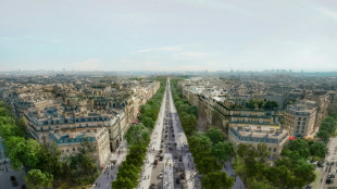 Moins de voitures et plus de culture pour "réenchanter" les Champs-Elysées 