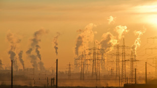 L'Italia centra la crescita pulita, &egrave; tra pi&ugrave; virtuosi d'Europa