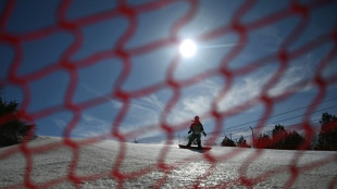 Chinese firms seek to loosen West's grip on lucrative snow business